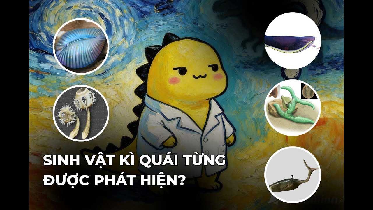 Những Hóa Thạch Kỳ Lạ Nhất Từng Được Tìm Thấy 🚨