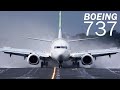 Boeing 737: el avión de pasajeros más popular