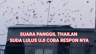 suara panggil vietnam suda lulus uji coba respon nya