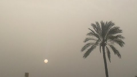 البشارة بفاتحة الكتاب وخواتيم سورة البقرة   الشيخ عبد الرزاق البدر