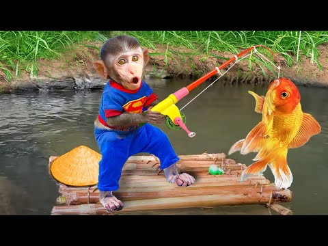 Baby monkey Ben