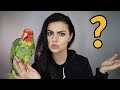 The Wild Parrots of California, Invasive OR Introduced? | Parrot Talk | Marlene Mc'Cohen