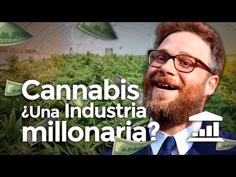 ¿Cómo Afectará La Legalización Al Empleo?