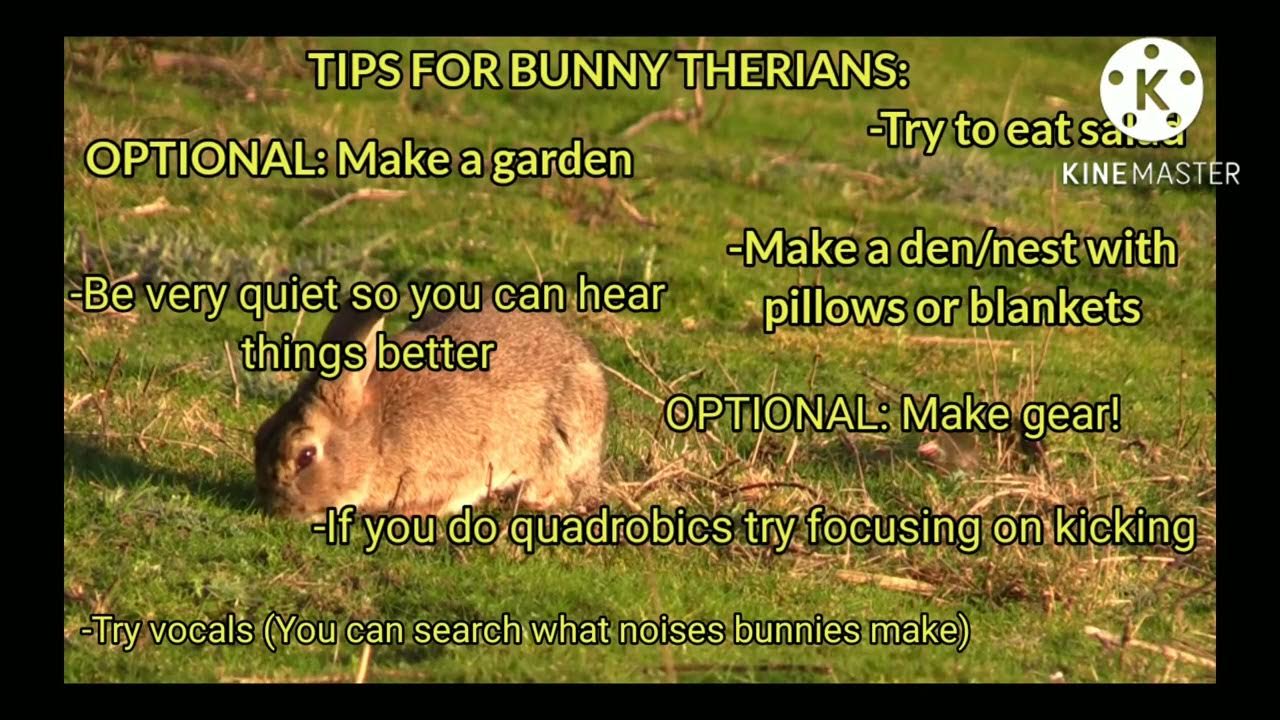 🐾🌿Tips For Bunny Therians!🌿🐾 - YouTube