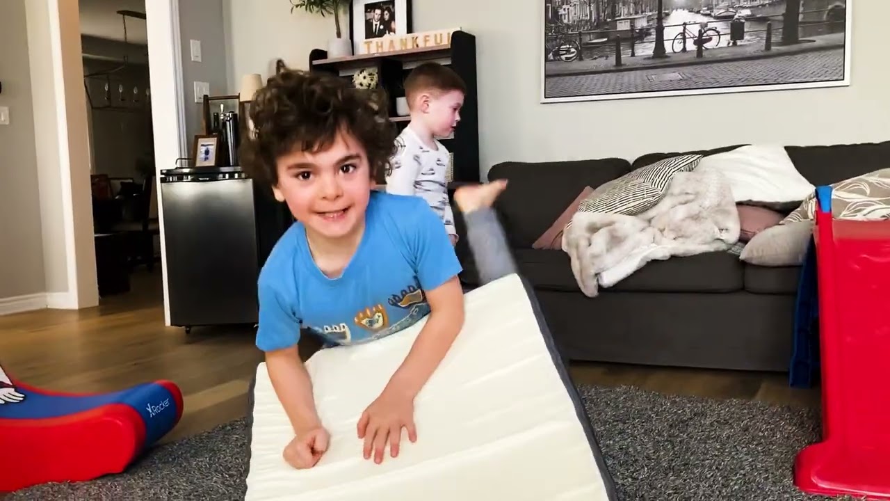 Izzy and Carter Wrestling the Fluffy Stairs!!!!