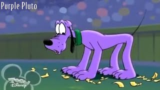 Purple Pluto 1999 Disney Minnie Mouse Cartoon Short Film Review And Recap