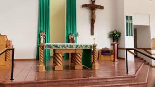 Fourteenth Sunday in ordinary time