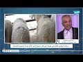 أ بوشيخي بوخوص مبادرة توفير الأضاحي مهمة في ظل احتياج إلى أكثر من 4 ملايين أضحية 