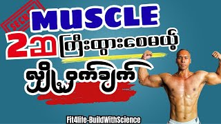 “Natural ကစားသမားများအနေနဲ့ Muscle (2)ဆ ကြီးထွားစေမည့် လျှိဝှက်ချက်”