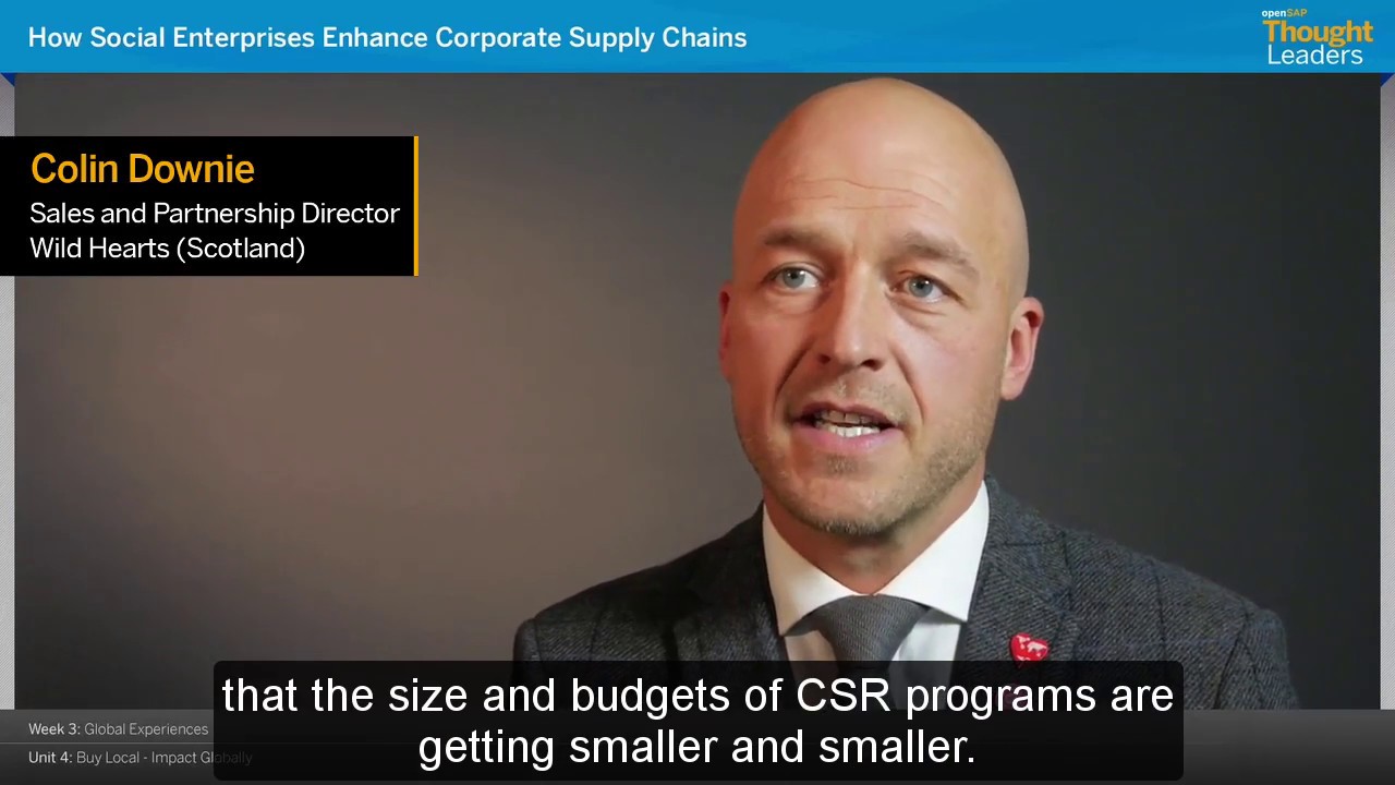 openSAP free socent course Wildhearts teaser