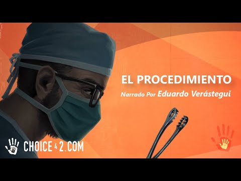 EL PROCEDIMIENTO