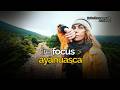 FireFocus - Ayahuasca with Ann Bevers
