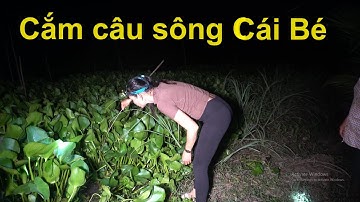 1021 / Cắm câu  sông Cái Bé bằng mồi trùn