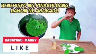 Benepisyo ng pinakuluang dahon ng Abokado
