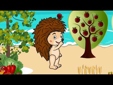 Времена года | Семья веселого ёжика Темы | Мультики