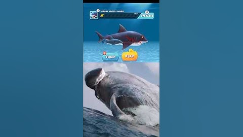 hungry Shark Evolution 🧬