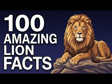 The Quiet Power of Lions – Soothing Facts for Drifting Off