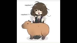 Capybara Coconut Doggy