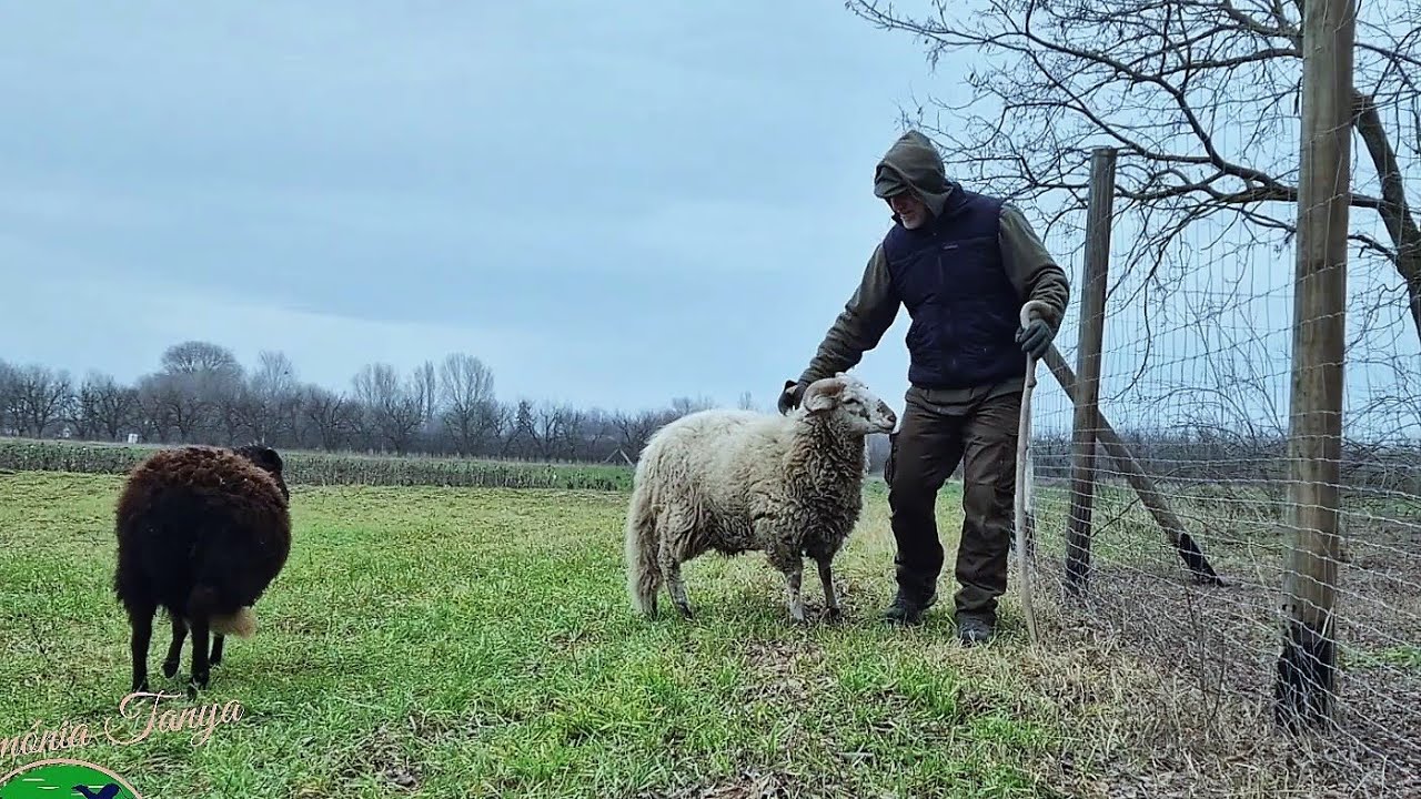 Harmónia Tanya - Önellátó gazdaság tervezése