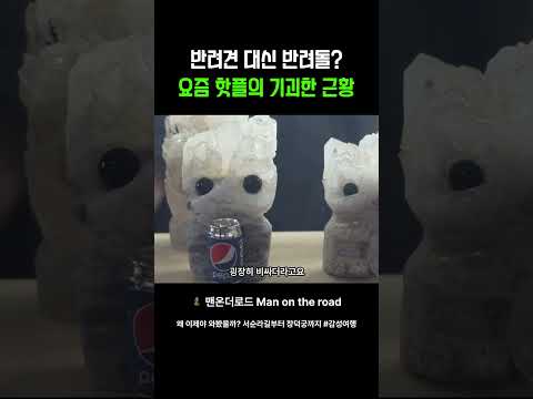 반려견 대신 반려돌 요즘 핫플의 기괴한 근황