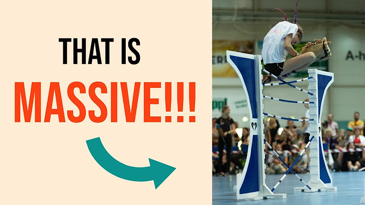 CRAZY HOBBYHORSE JUMPS!