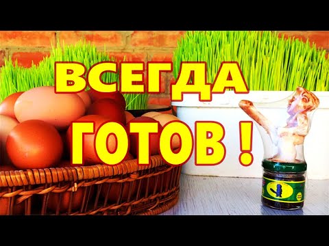 Natural Viagra for Male Potency! Results in bed!