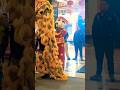 Barongsai lion dance masuk Mall