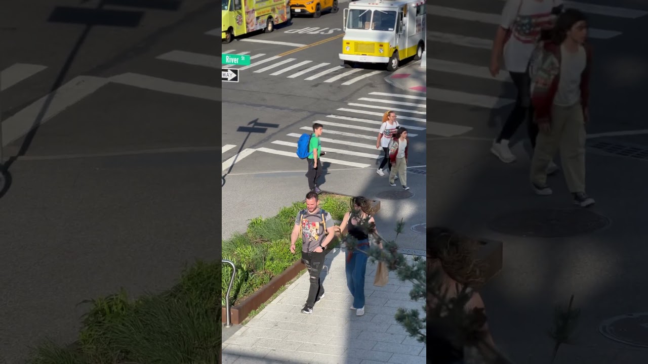 Dog Fun in NYC! Off-Leash Adventure at Domino Park Dog Run in Brooklyn