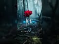 Subscribe for more