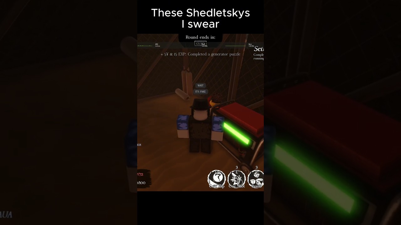 these Shedletskys pmo fr 