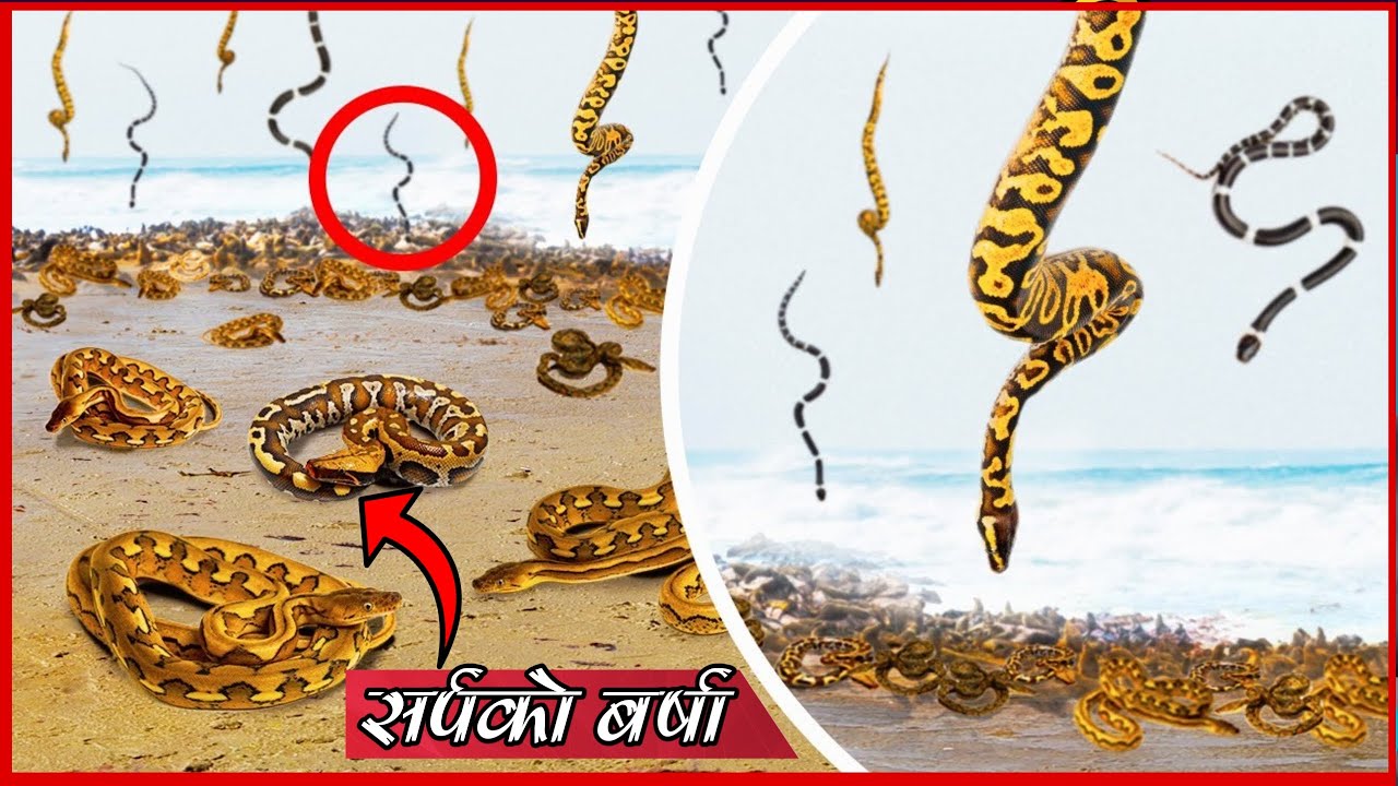 सब भए हैरान जब आकाशबाट यो झर्न थाल्यो|| Sabbidev facts