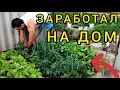 ИСТОРИЯ ОДНОЙ СЕМЬИ . Упасть и в жизни не сломаться...