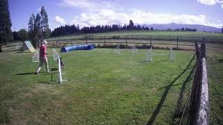 Flash & Tali short agility sequence