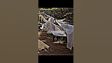 Michael Myers Stalking Laurie Strode #halloween #edit #shorts