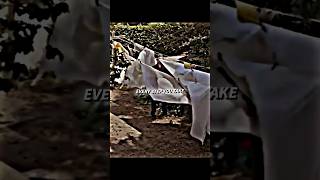 Michael Myers Stalking Laurie Strode