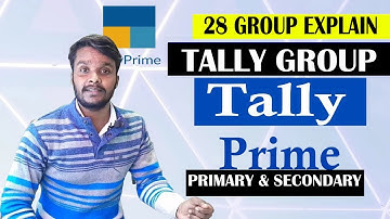 28 Group Tally Prime || Tally Prime Pre-defined Group || Primary Group & Subgroup Explain Hindi