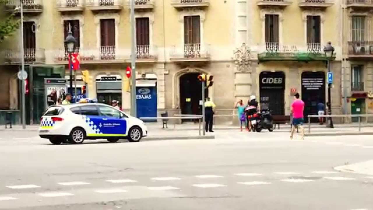 Traffic Accident Management in Europe