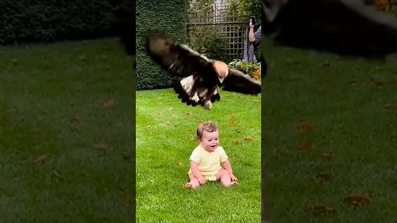 🦅 Eagle Tries to Snatch Baby — Mom Becomes a Hero!