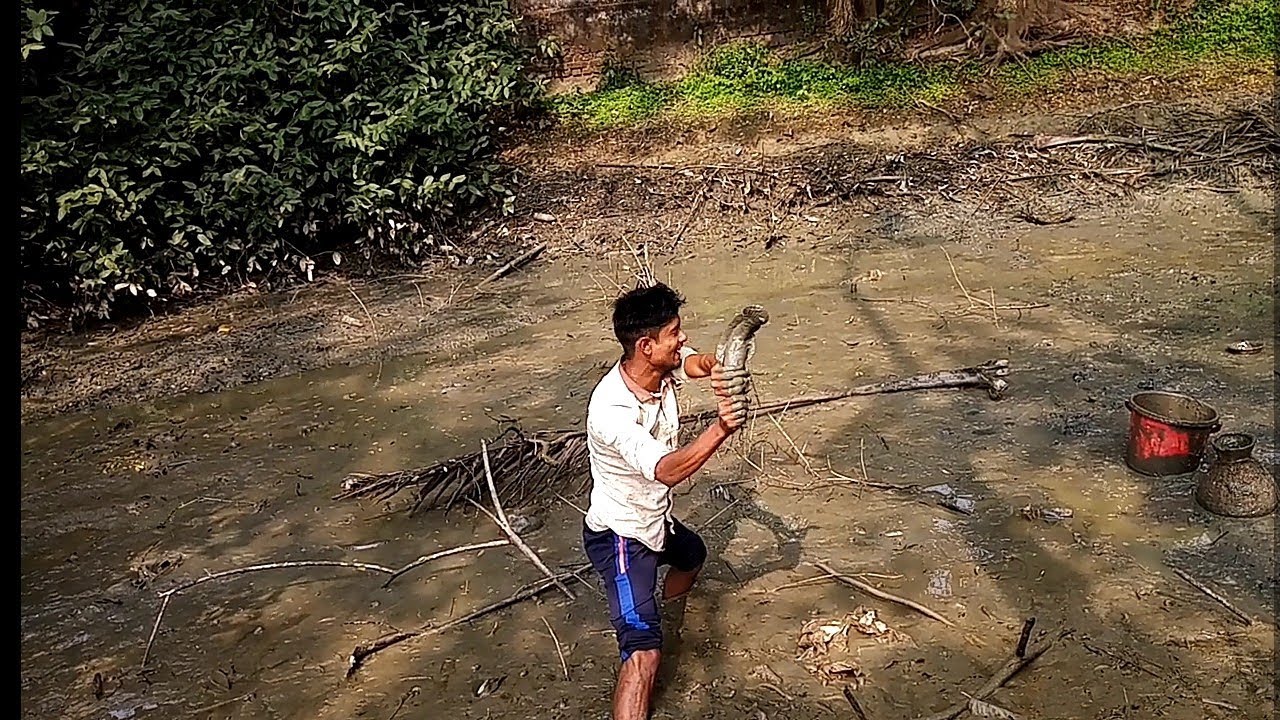 AMAZING FISHING VIDEO 2020! Dry Season Catching A Lot Of Fish Underground. 5