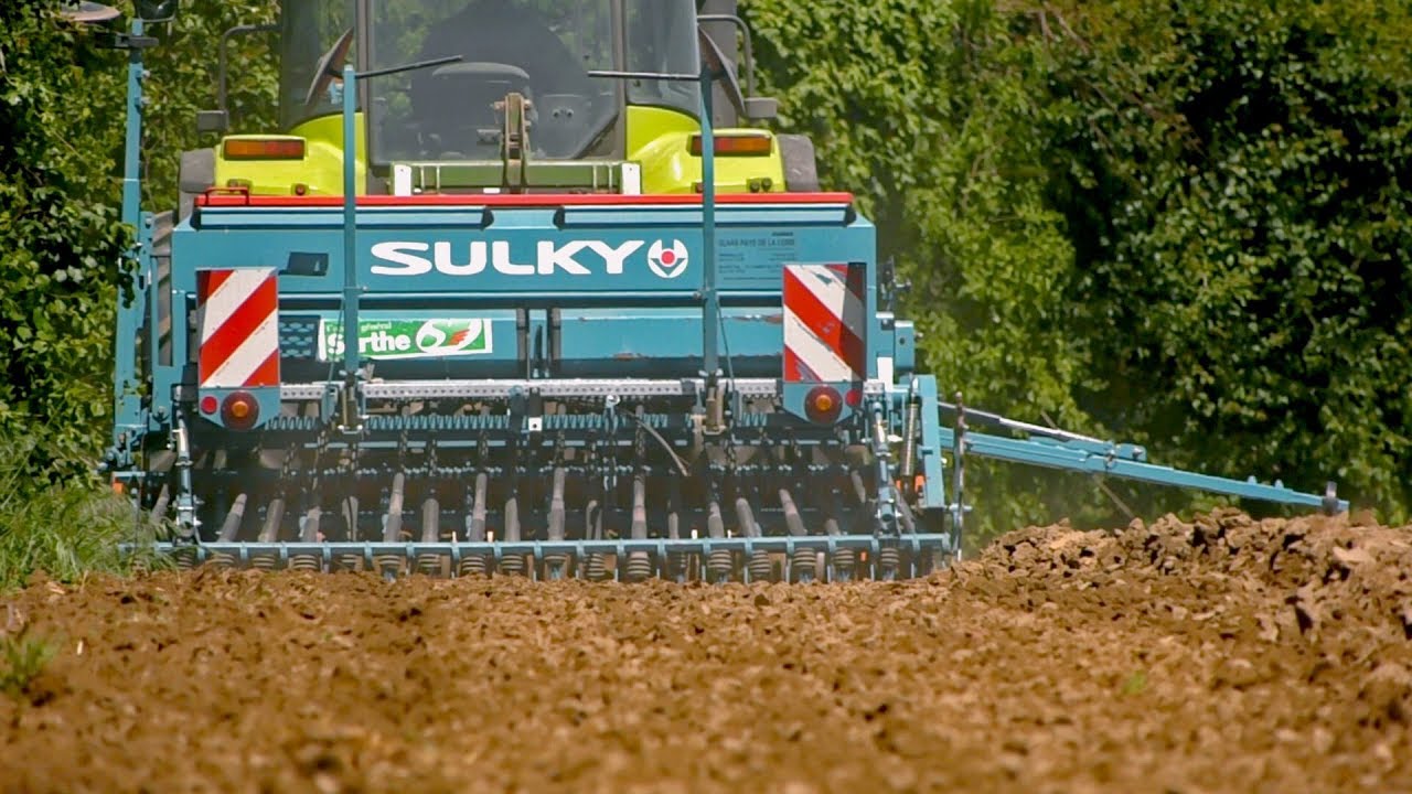 Semis de chanvre en Sarthe