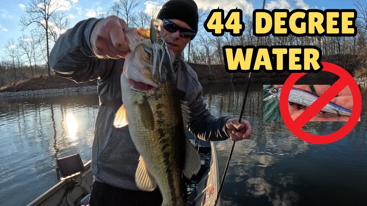 Nobody's Doing This Cold Water CHATTERBAIT Fishing