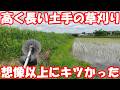 暑い滑る草多いハチ多い。夏前でも高土手はキツイ…。#草刈り #mower