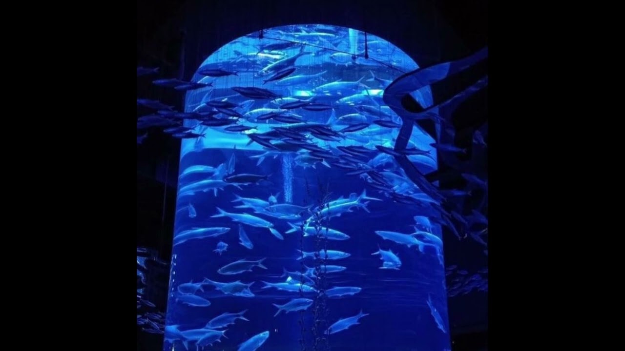 (FREE) OG Buda x Toxi$ x White Punk x BNYX Type Beat - "whale" (prod. by kira xxx)