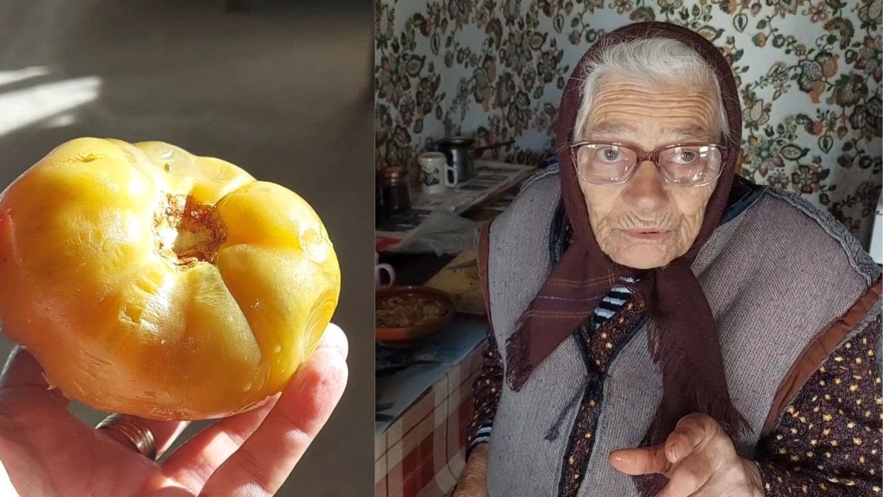 Murăturile bunicii. Secretul murăturilor perfecte!