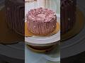 New cake design #cake #shorts #trending #cakedesign #cakedecoration #mix fruit cake #BakingBites