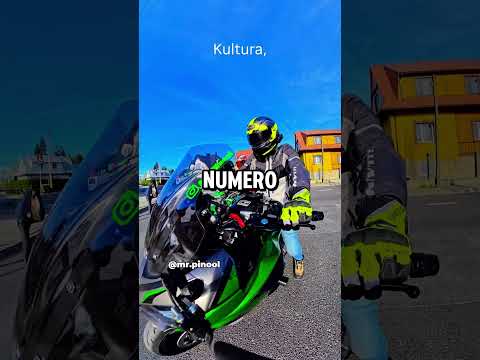 Bikers 🩷 Animales