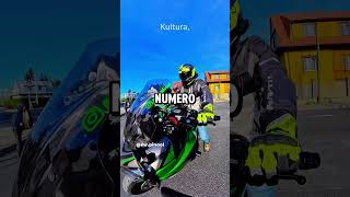 Bikers 🩷 Animales