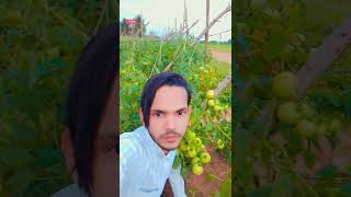 Hindi gana #videos