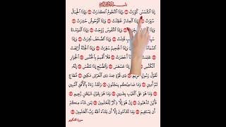Surah At-Takwir ✨🤍#quran #quranrecitation #shorts