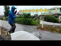 ウソやろ～？　雨降りなら昼間でも・・・
